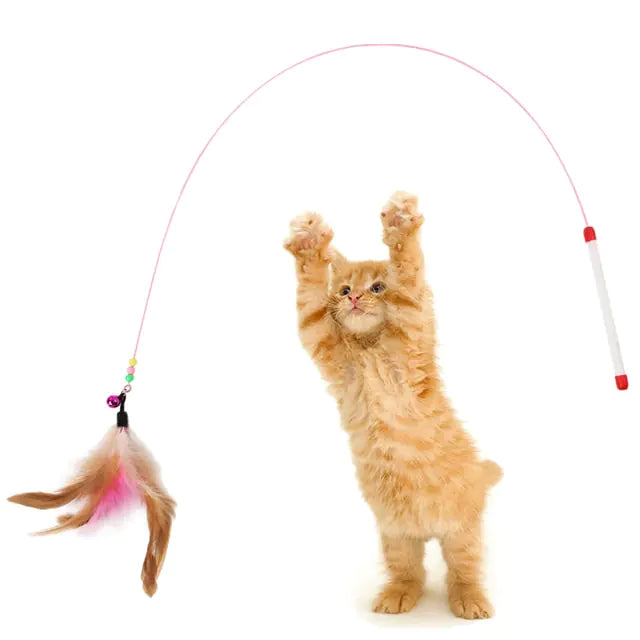 Feather Toy for cats